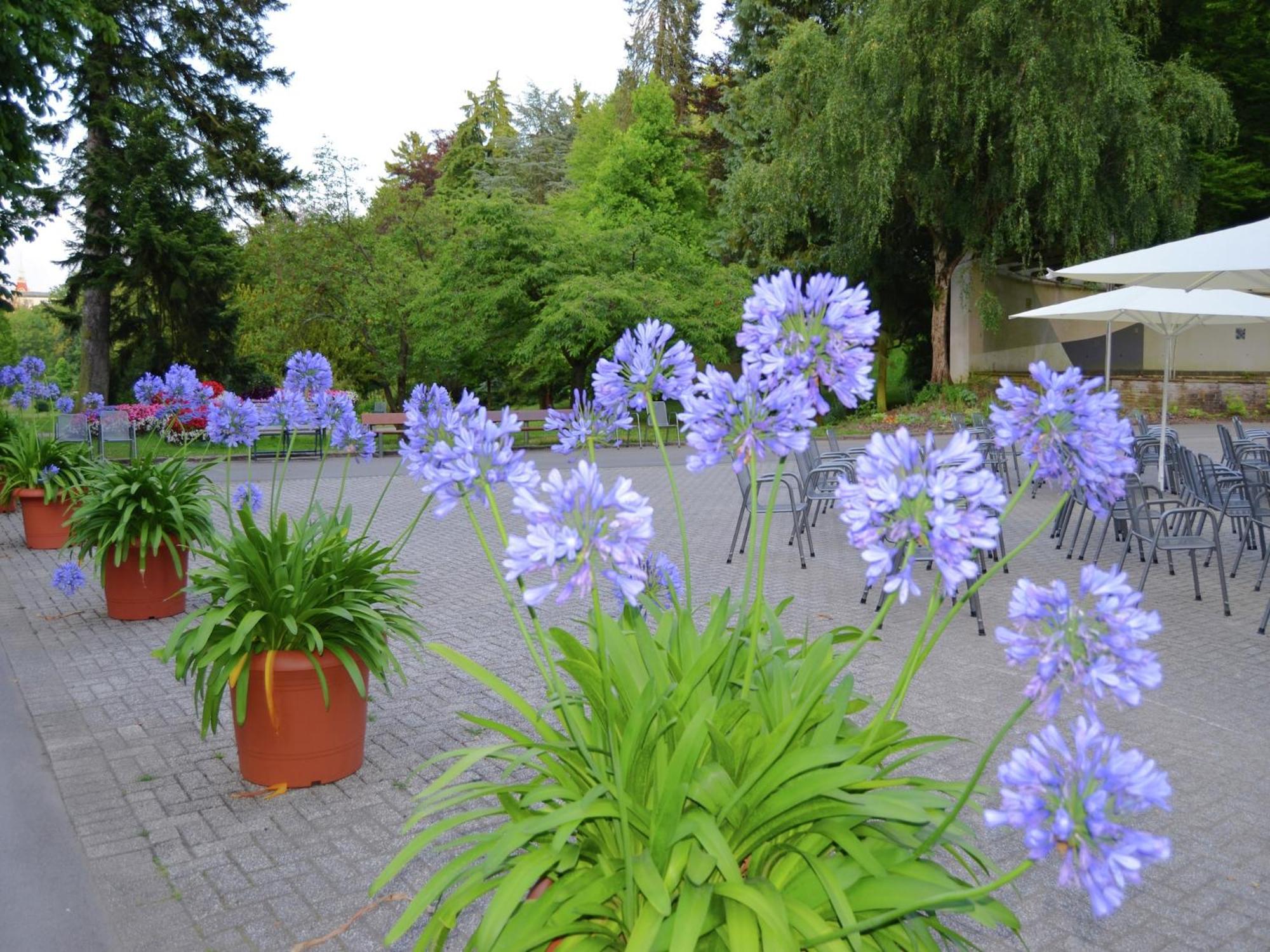 Charming Apartment With Private Terrace Bad Wildungen Dış mekan fotoğraf